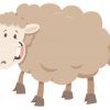 وکتور حیوانات گوسفند